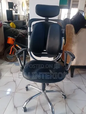 Executive Office Chair/Kidney-Shaped Backrest