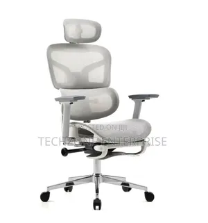 Premium Ergonomic Mesh Office Chair
