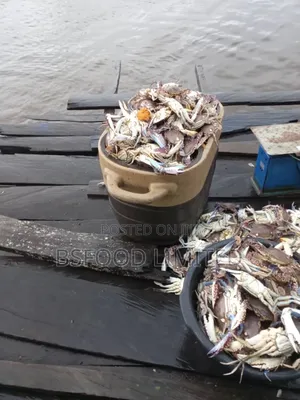 Crabs, Seafood