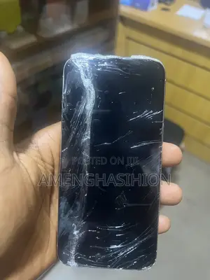 Apple iPhone 15 Pro Max 256 GB Gray