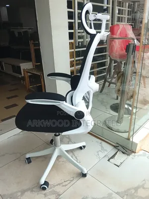 Ergonomic Reading and Computer Work Chair