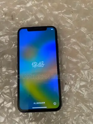 Apple iPhone X 64 GB Silver