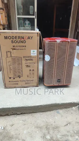 Modernday Sound Mlg1525kb 15-Inch • 9000w P.M.P.O • Trolley Design