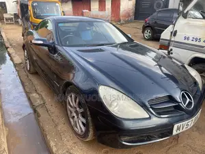 Mercedes-Benz SLK-Class 2007 Blue