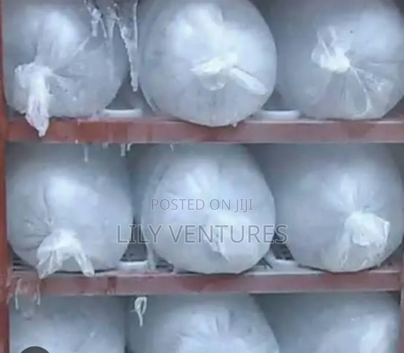 Ice Blocks