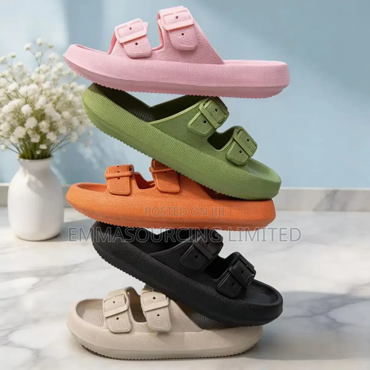 Shoes Bags