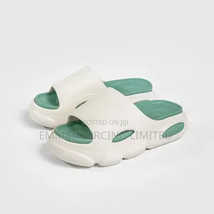 Shoes Bags