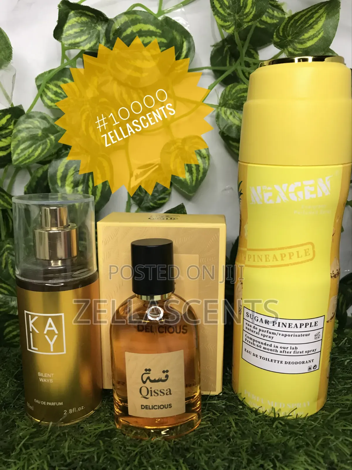 Perfume Combo