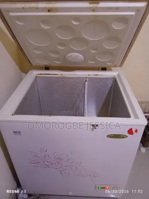 Thermocool Deep Freezer