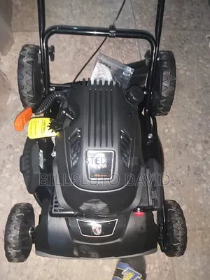 Elephant Lawn Mower With Bag