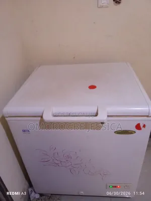 Thermocool Deep Freezer