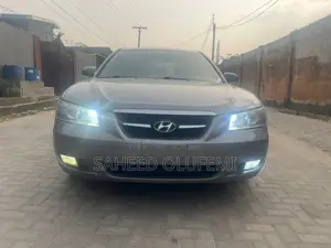 Hyundai Sonata 2009 Gray