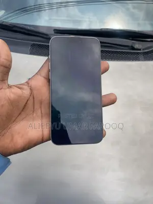 Apple iPhone 15 Pro Max 256 GB Silver