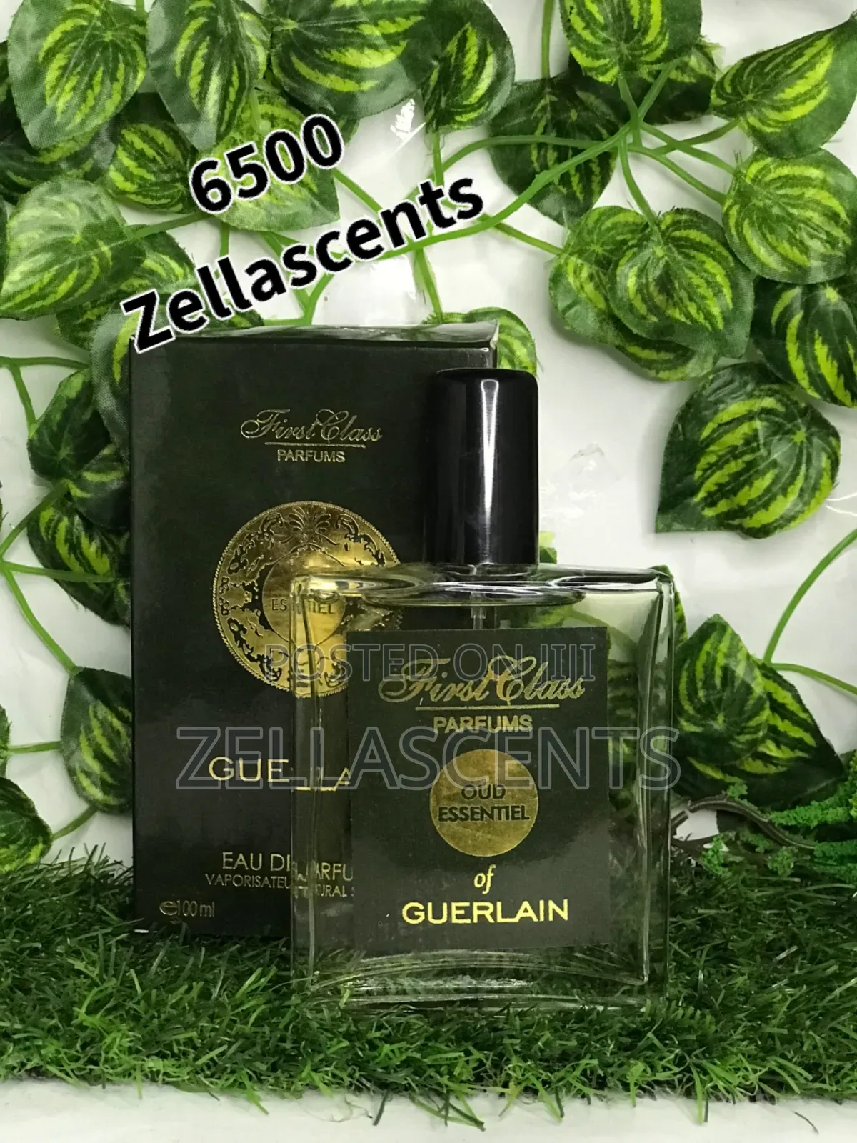 Perfume (Eu Der Perfum)