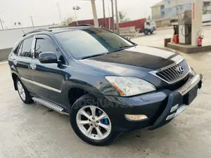 Lexus RX 2009 Gray