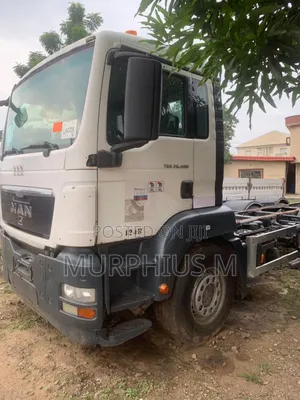 Man TGS 2004 White