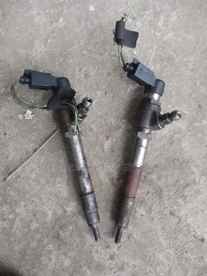 Injector Nozzle Range Rover Sport 06