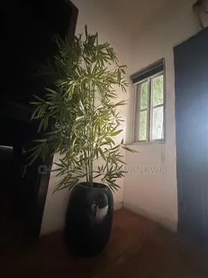 Flower Pot for Sale