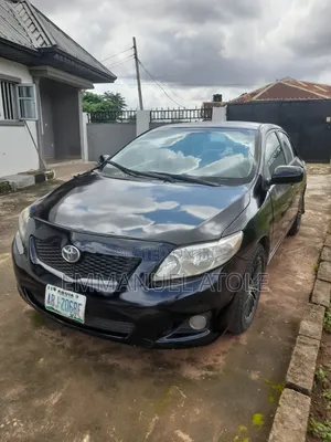 Car Rentals