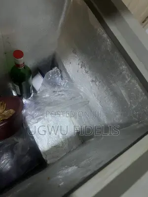 Thermocool 146l Chest Freezer (Repiping Was Done, It Freezes Slowly)