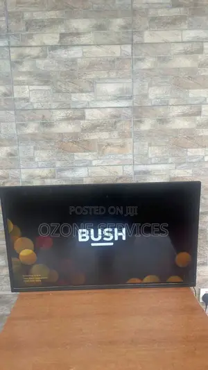 Bush Tv for Sale