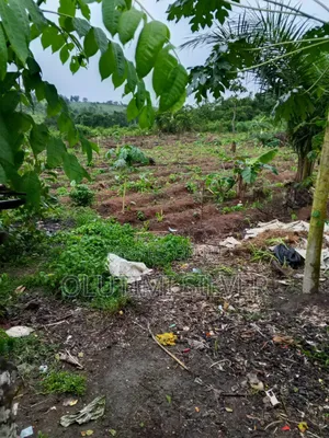 Land for Sell