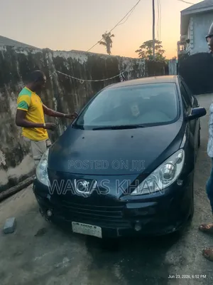 Peugeot 307 2007 Blue