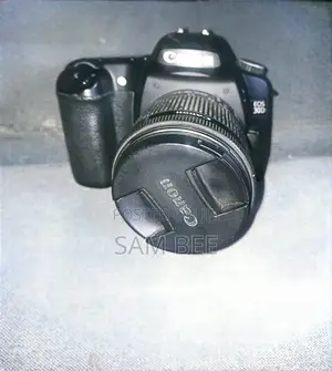 Canon 30d With Lens