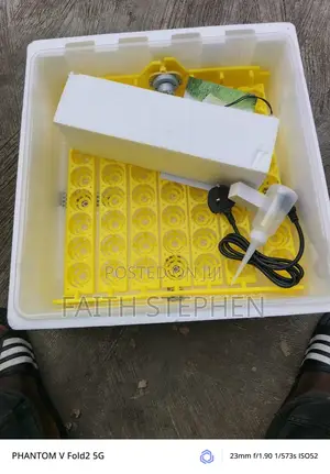 Egg Incubator