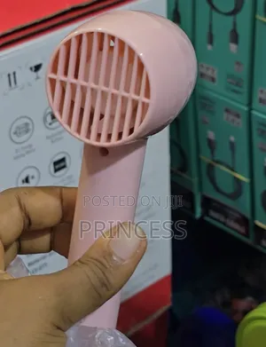 Rechargeable Fan