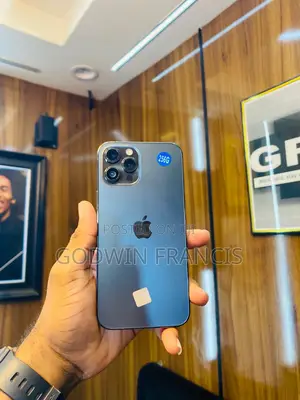 Apple iPhone 12 Pro Max 256 GB
