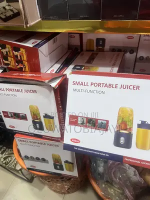 Mini Multi Function Juicer