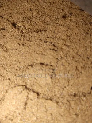 Celary Powder