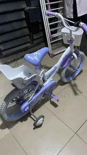 Beautiful Sofia Bicycle
