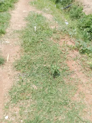 Land and Plots