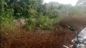 Landed Property