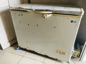 Freezer Lg 219ltrs
