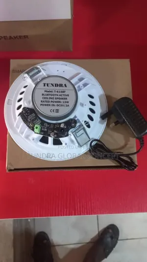 Tundra Single 15watts Bluetooth Ceiling Speaker