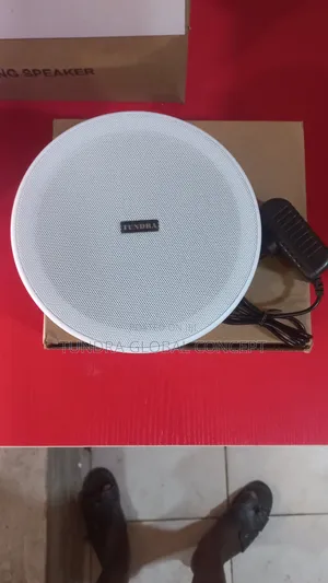 Tundra Single 15watts Bluetooth Ceiling Speaker