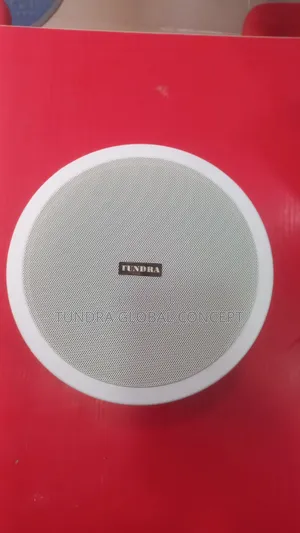 Tundra 20watts Single Bluetooth Speaker T-820bt