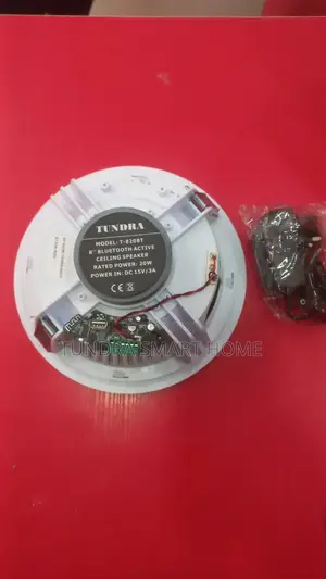 Tundra 20watts Single Bluetooth Speaker T-820bt