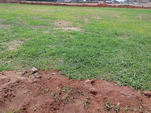 Three Bedroom Block of Apartment for Sale in Hutu Exclusive