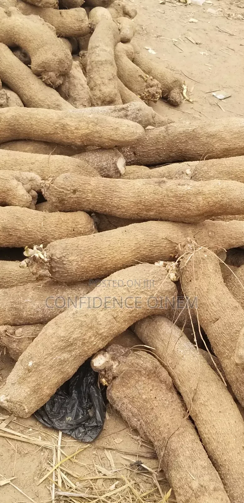 Sweet White Yam