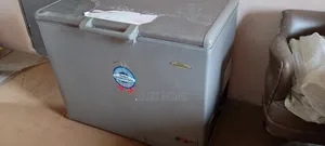 Haier Thermocool Inverter Freezer 319l
