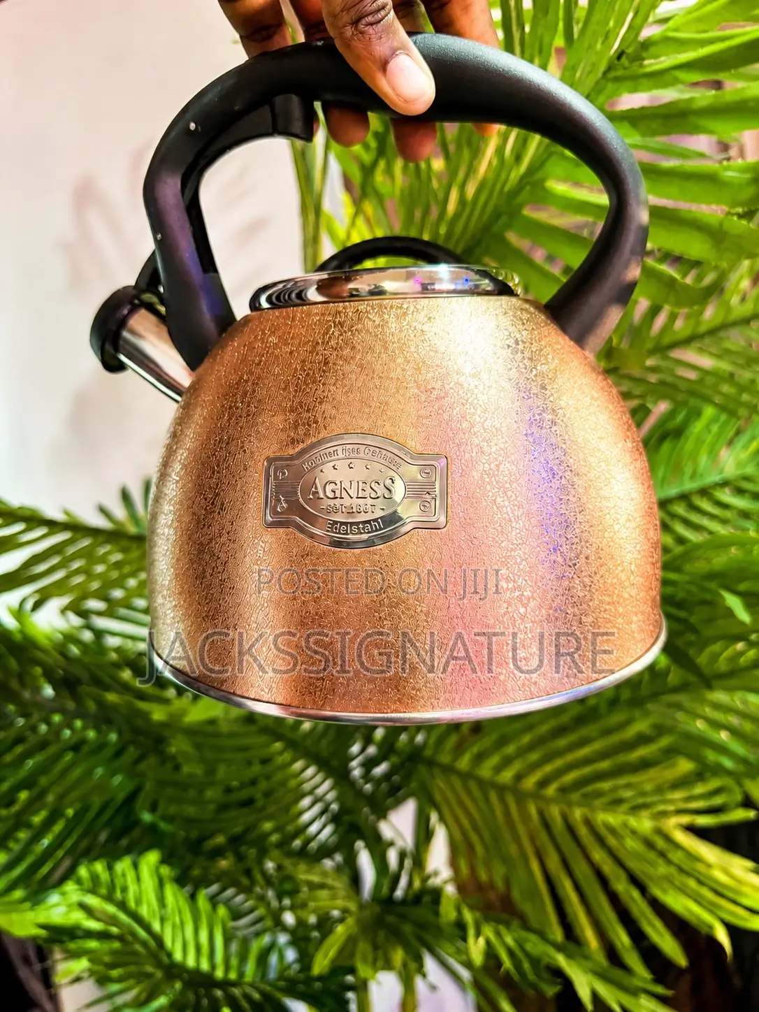 Whistling Kettle