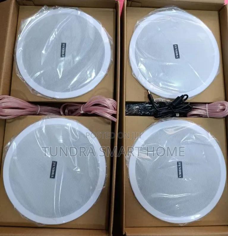 Tundra 4in1 20watts Bluetooth Ceiling Speakers T-8204bt
