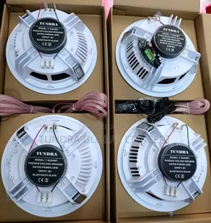 Tundra 4in1 20watts Bluetooth Ceiling Speakers T-8204bt