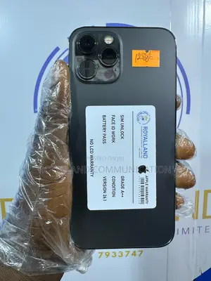 Apple iPhone 12 Pro Max 128 GB Black