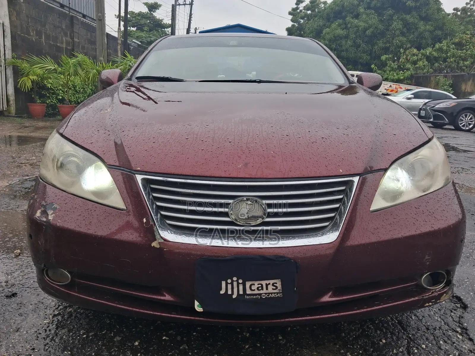 Lexus ES 2008 Brown
