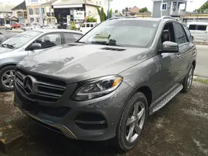 Mercedes-Benz GLE-Class AMG GLE 43 4MATIC 2016 Gray